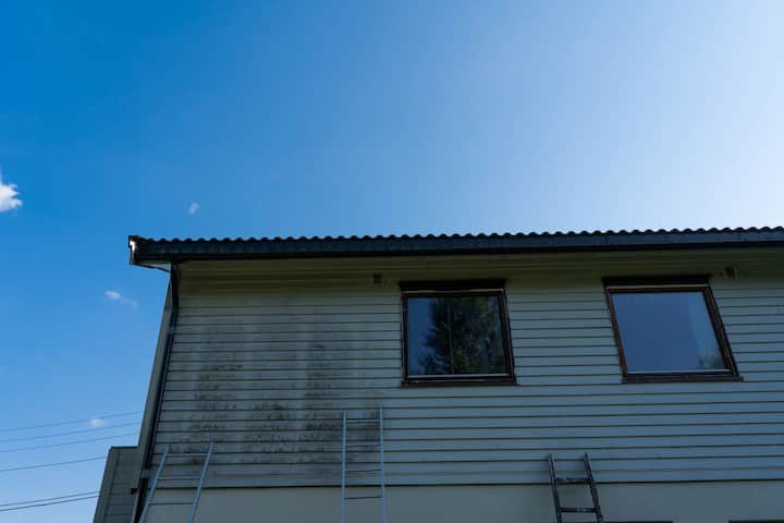 exterior mold removal services Tupelo
